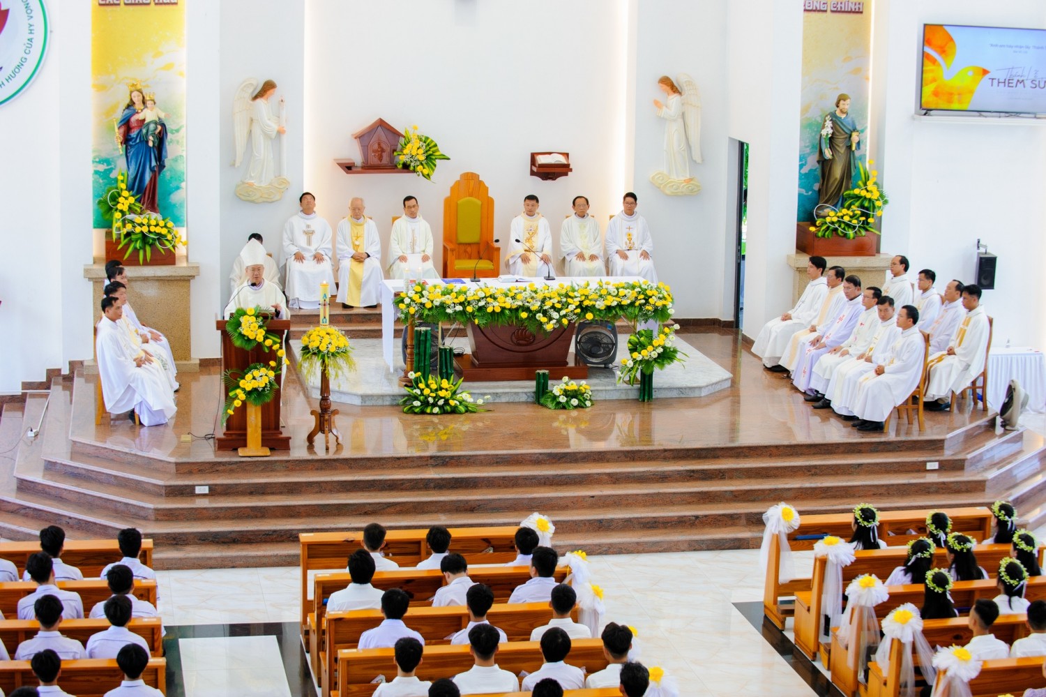 499558412 3305556716252154 1771818310111876719 n