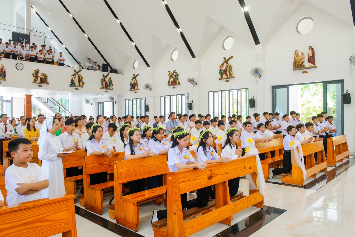 499948442 3305559239585235 5317026176848543866 n