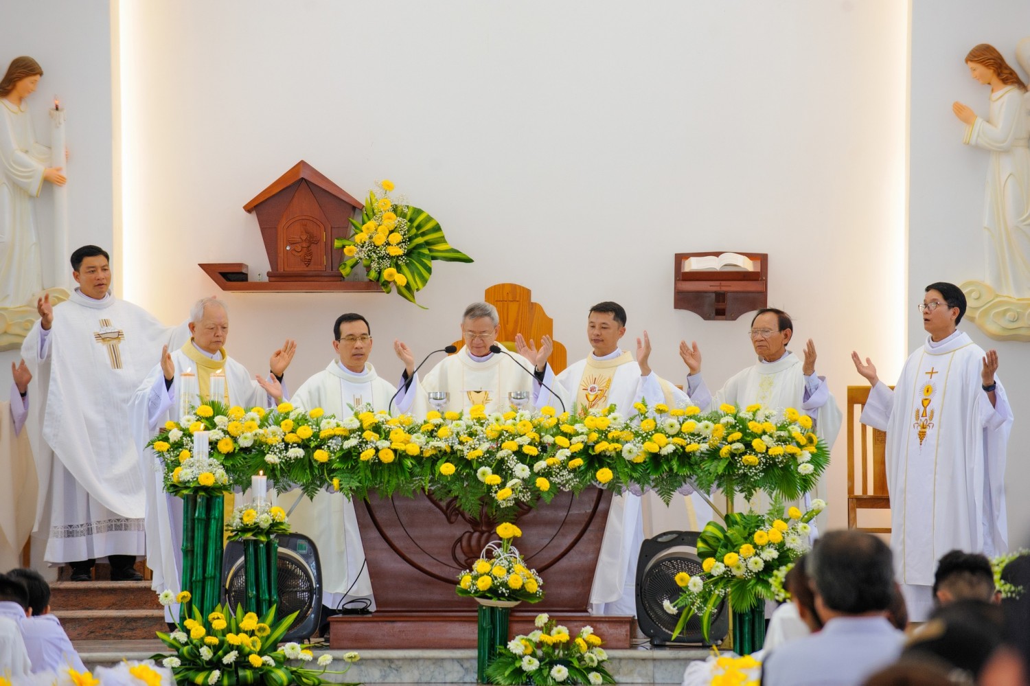 499973960 3305567606251065 5708812244869593957 n